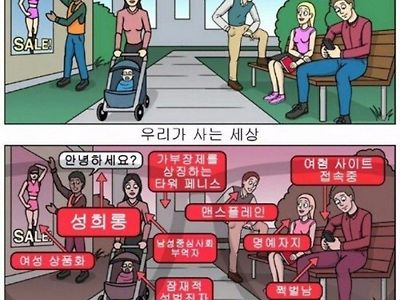 페미가 보는 세상