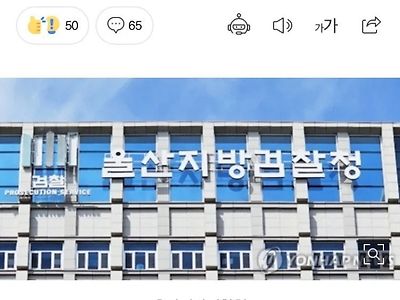 유기묘 21마리 기증받아 전부 죽인 20대 ㄷㄷ