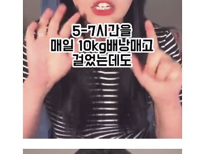 순례길 걸어보고 식단이 다이어트의 전부라고 느낀 사람