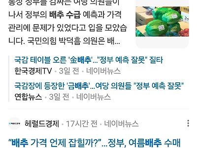 최근 배추수급 문제로 난리 난 한국 김치시장