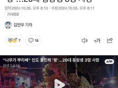 "나무가 뿌리째" 인도 돌진해 '쾅'…20대 동창생 3명 사망