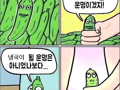 오이의 운명.jpg