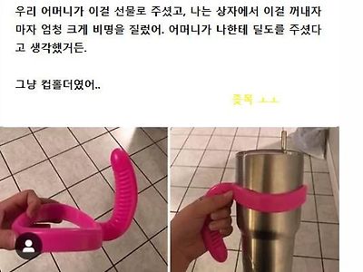 선물로 ㅈㅗㅈ 을 보낸 모녀