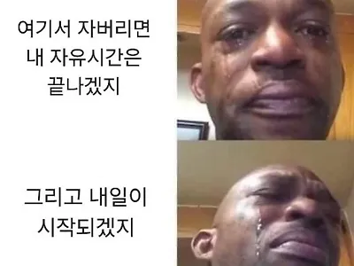 늦게 자게 되는 이유