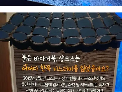 부산에 존재한다는 샹크스