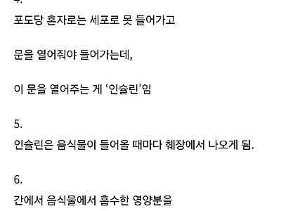 건강하던 사람에게 당뇨가 오는 과정