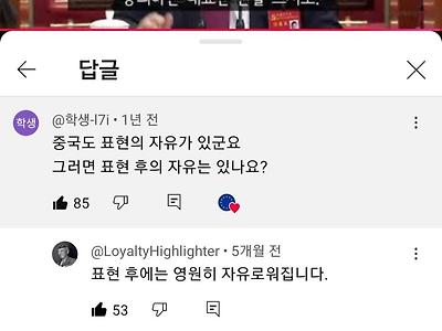 중국식 표현의 자유