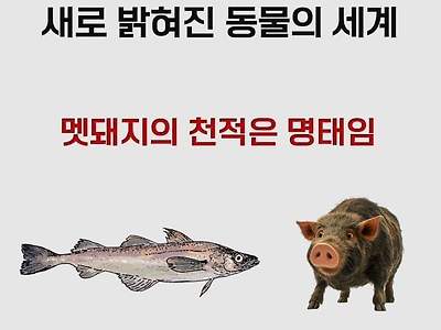 새롭게 밝혀진 신비한 동물의 세계