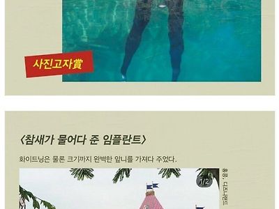 싱글벙글 망한 여행 사진 대회