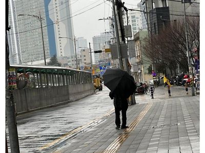 할망구 비 오는데 우산 없이 가노