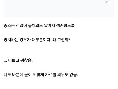 중소에서 신입사원을 가르치지 않는 이유 고찰