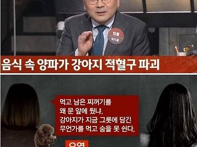 짬뽕 먹고 죽은 강아지 견주 장례비 요구 