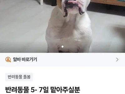 하루 일당 만원대 당근 꿀알바