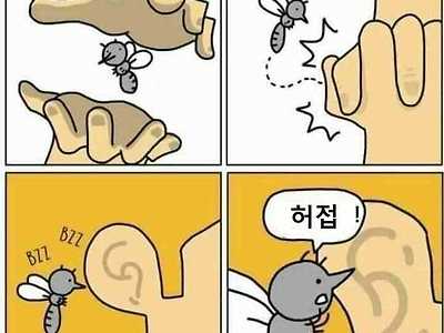 모기가 사람 귀에서 앵앵거리는 이유