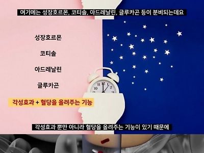 아침밥을 굳이 안 먹어도 되는 이유