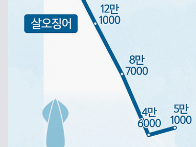 2050년 되면 인류는 해산물 못먹는다. 