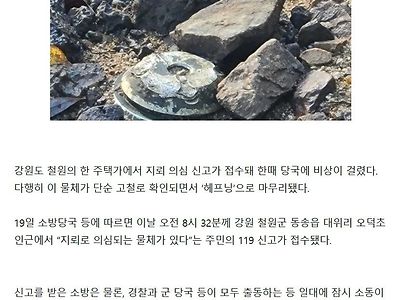 "지뢰인 것 같아요"…주민 신고에 119 출동해보니 