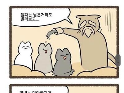 고양이의 털색이 정해지는 방법