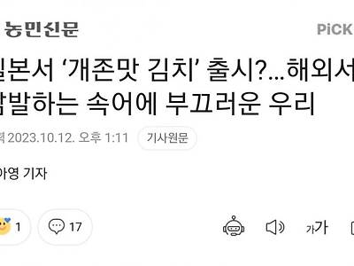 일본에서 출시된 '개존맛 김치'가 부끄러운 기자