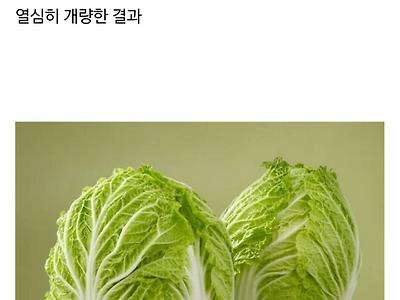 우장춘 박사의 업적