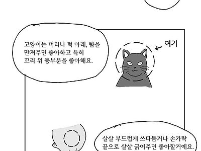 고양이 카페 점장님 만지기.manhwa