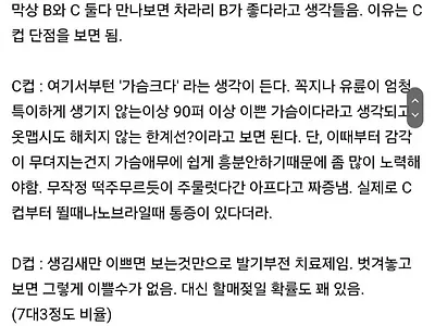 펌) A컵에서 D컵까지 만나본 후기