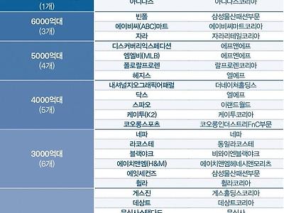 매출 1000억 이상 패션브랜드 순위.jpg