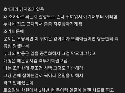 조카한테 조언했는데 깽값 물어주게 생겻다