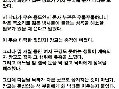 젊은 병사들의 성욕을 해소하는데 쓰이는 낙타