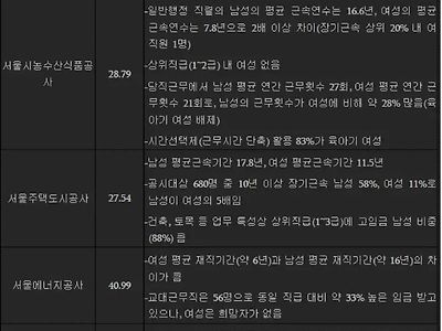 서울시에서 조사한 남녀 임금격차 실상