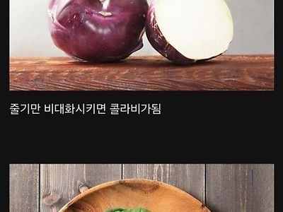 식물계의 이브이jpg