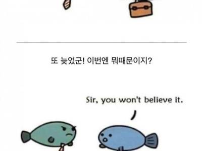 물고기가 지각한 이유