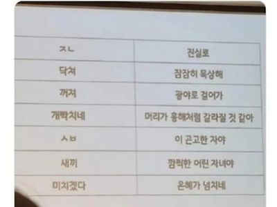 교회에서 욕대신 쓰라고 교육받음