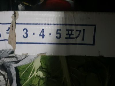 숫자를 5까지 밖에 못세는 사람..