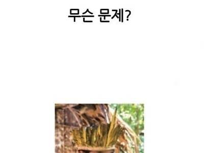 스페인이 남미에 인신공양 풍습을 없앤 방법