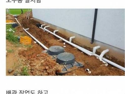 시골 200평 땅에 집을 지은 디시인