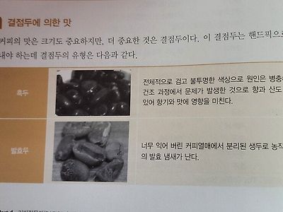 커피콩에 따라 변하는 커피맛 