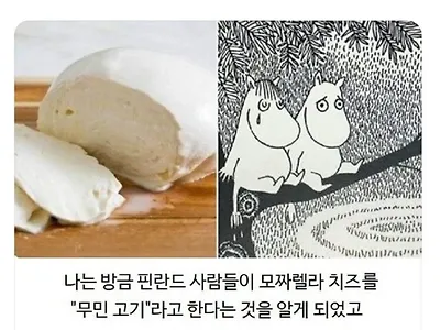 핀란드에서 모짜렐라 치즈를 부르는말