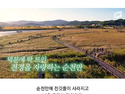 순천이 전봇대 수백 개를 뽑아버린 이유