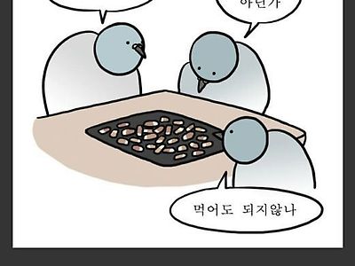 고기 못굽는 사람들이 고기 구울 때