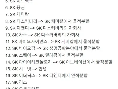 SK그룹으로 보는 국장은 걸러야하는 이유