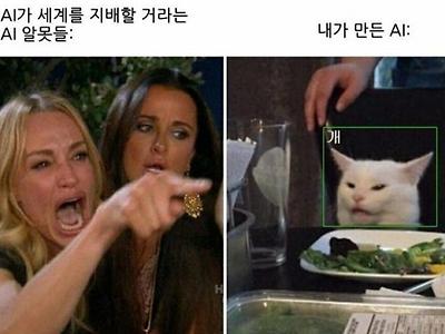 AI가 세계를 지배할거라는 AI알못들