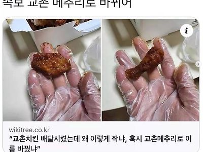 속보 교촌 메추리로 바뀌어