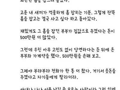 때론 영악함 보다 진솔한 태도로