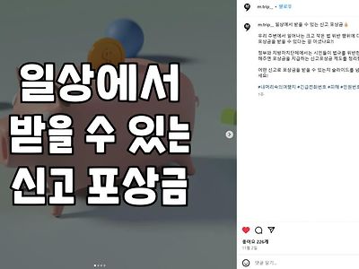 일상에서 받을 수 있는 신고 포상금