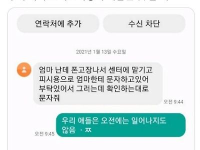 스캠에 현명하게 대답하는 아빠