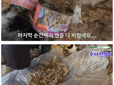 청소업체가 청소할 곳 가려받는 이유