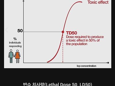 50% 확률로 죽을수있다는 음식 양