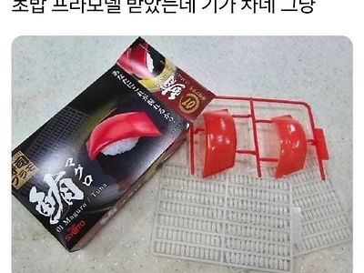 초밥 프라모델 선물을 받았아. 기가차네…