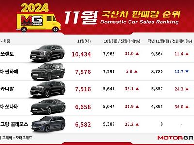 11월 국산차 판매량 순위